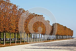 Automne ÃÂ  Paris photo